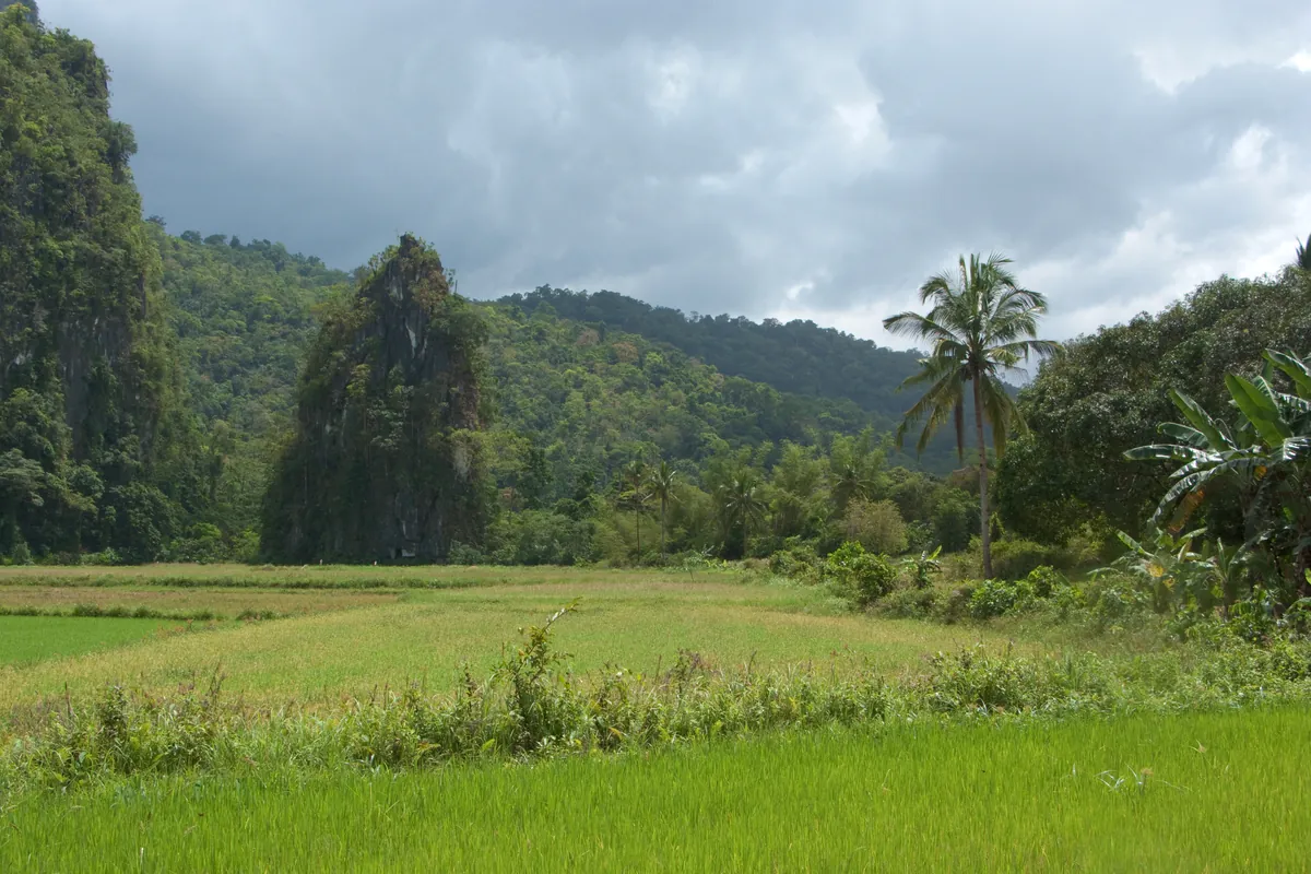 The forested karst mountains of the Saint Paul range above Sabang, Palawan